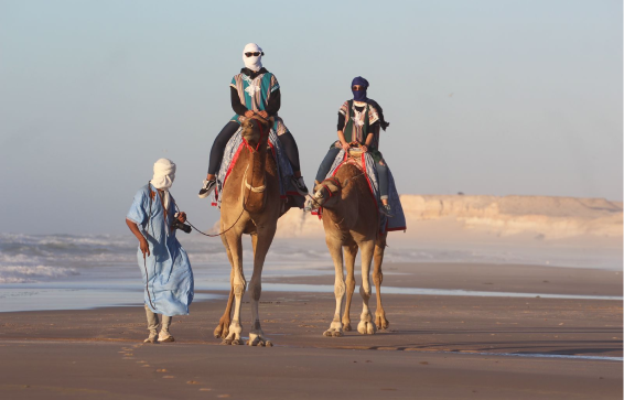 Desert adventure in Dakhla